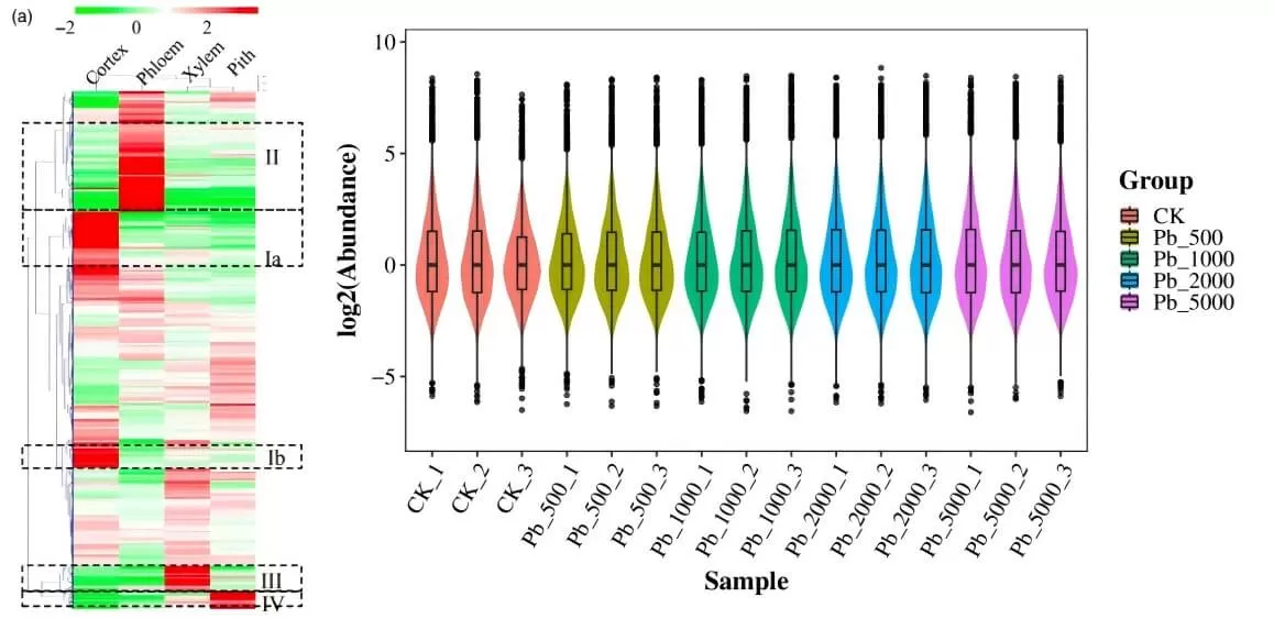 Protein Expression Clustering Heatmap (Left) and Abundance Distribution Plot (Right)